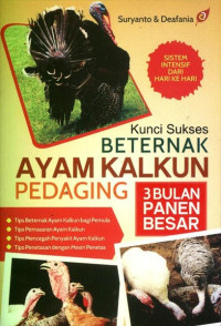 Image of Kunci Sukses Beternak Ayam Kalkun Pedaging